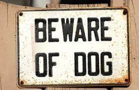 Beware of dogs