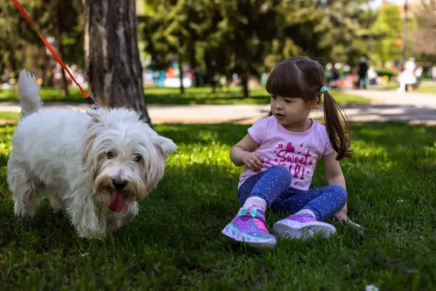 How Do You Help Children’s Fear of Dogs?